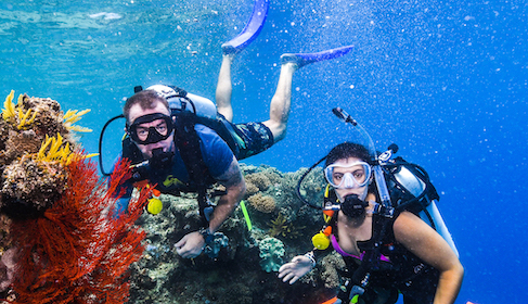 Intro Scuba Diving