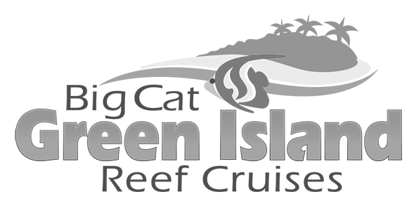 Big Cat Green Island Reef Cruises