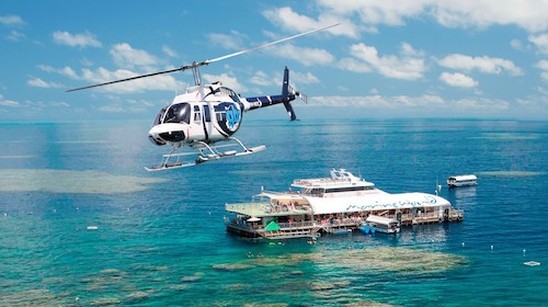 Reef Flights